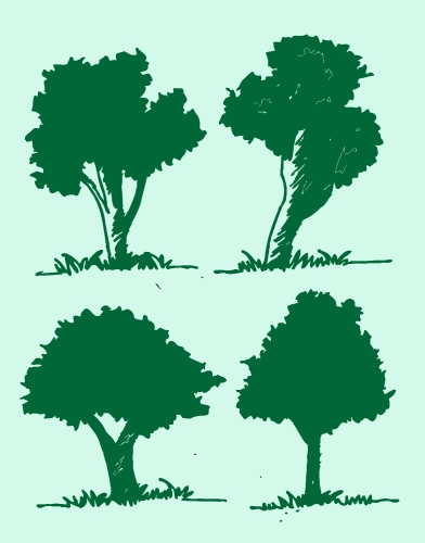 Set of trees with leaves