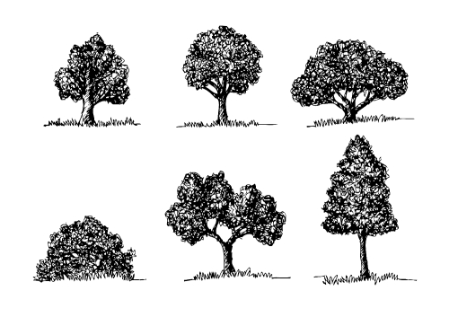 Set of trees with leaves