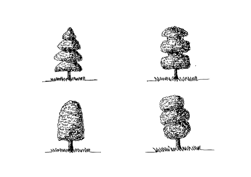 Set of trees with leaves