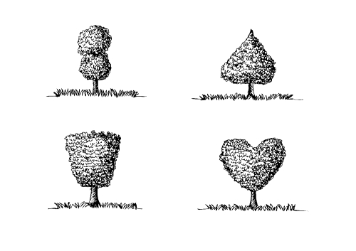 Set of trees with leaves