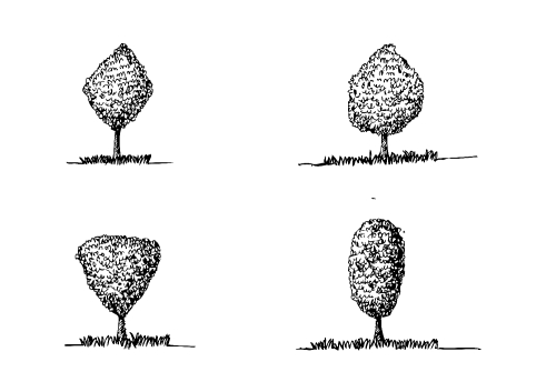 Set of trees with leaves