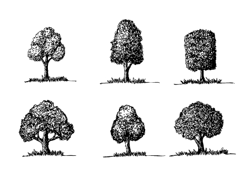 Set of trees with leaves