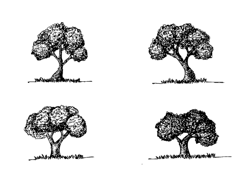 Set of trees with leaves