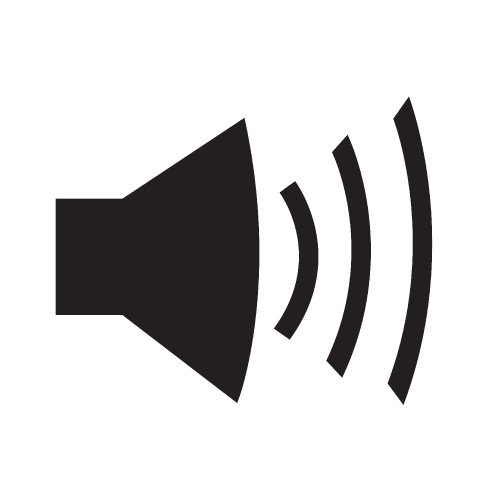 Speaker Volume Icon