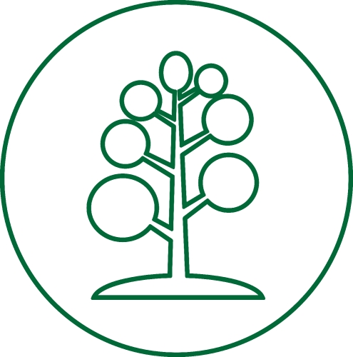 Tree icon