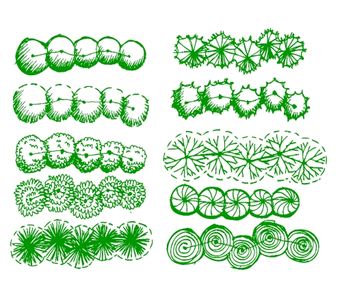 Trees top view for architecture landscape design projects