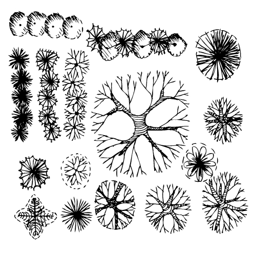 Trees top view for architecture landscape design projects