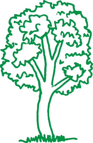 trees with leaves icon sign design