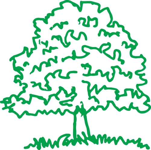 trees with leaves icon sign design