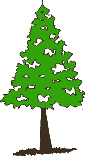 trees with leaves icon sign design