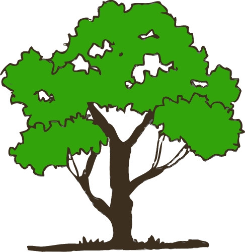 trees with leaves icon sign design