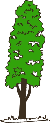 trees with leaves icon sign design