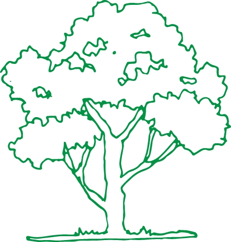 trees with leaves icon sign design