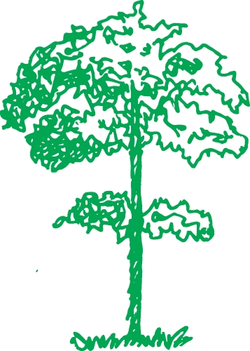 trees with leaves icon sign design