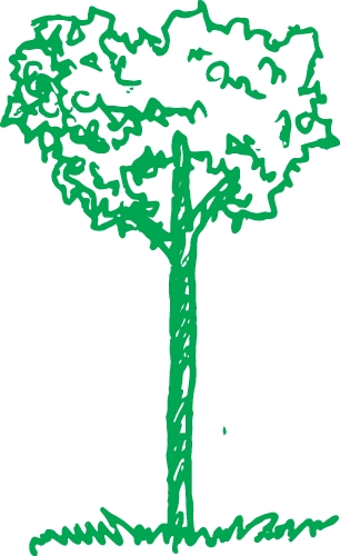 trees with leaves icon sign design