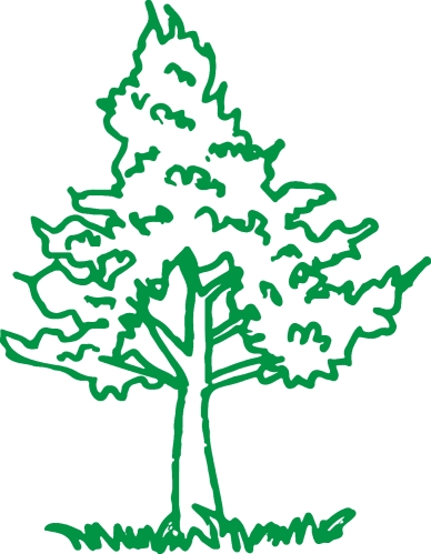 trees with leaves icon sign design