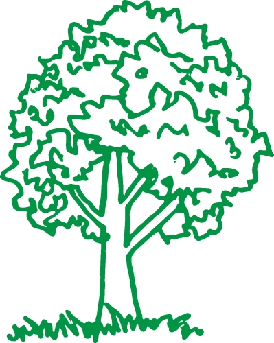 trees with leaves icon sign design