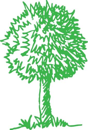 trees with leaves icon sign design