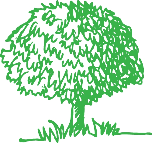 trees with leaves icon sign design