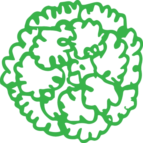 trees with leaves icon sign design