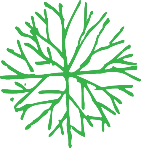 trees with leaves icon sign design