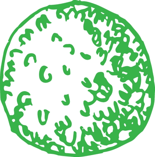 trees with leaves icon sign design