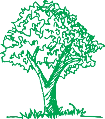 trees with leaves icon sign design