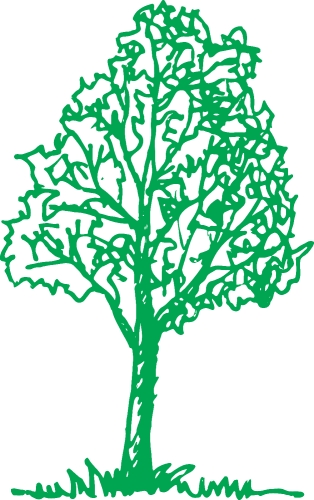 trees with leaves icon sign design