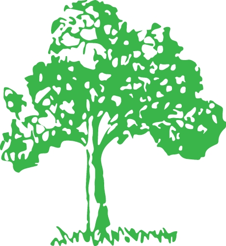 trees with leaves icon sign design