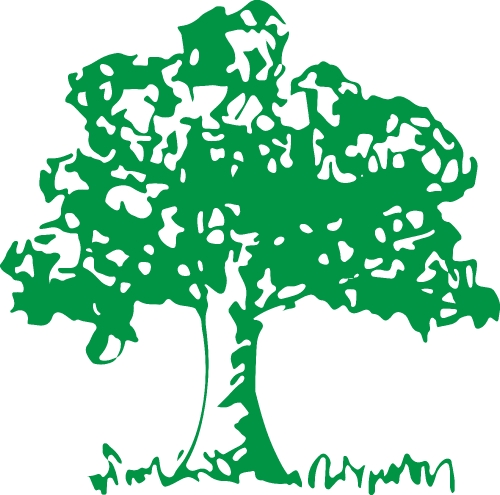 trees with leaves icon sign design