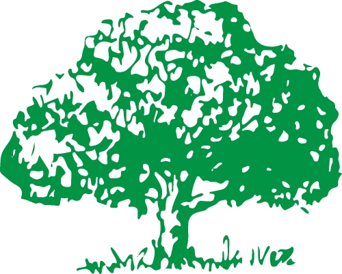 trees with leaves icon sign design