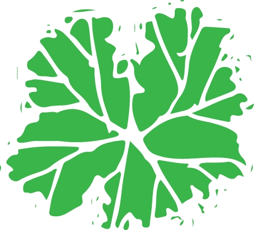 trees with leaves icon sign design