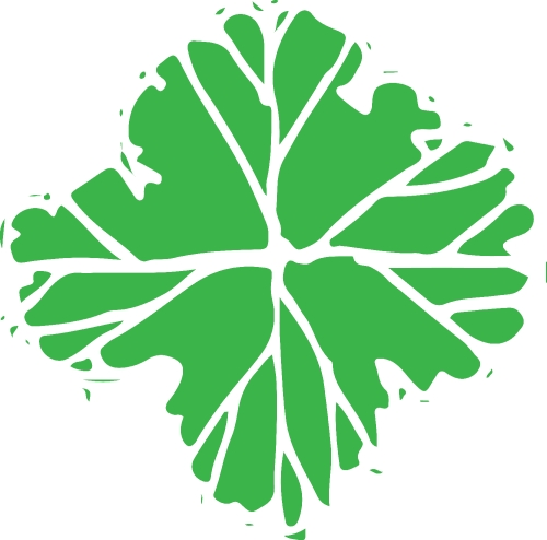 trees with leaves icon sign design