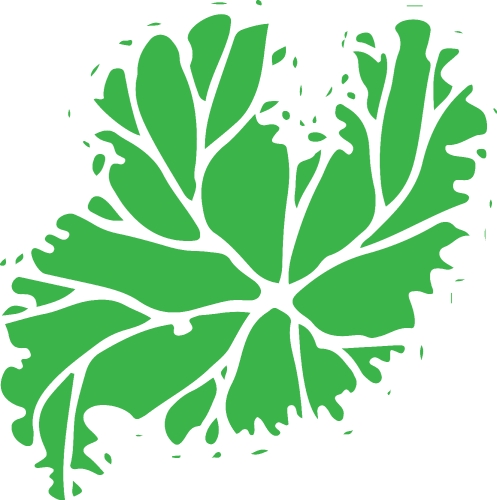 trees with leaves icon sign design