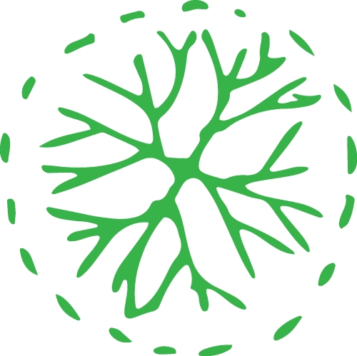 Trees with leaves icon sign design