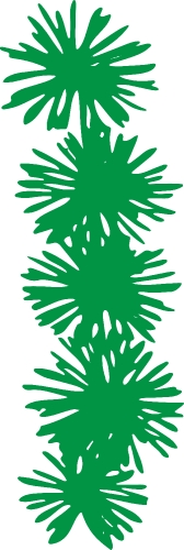 Trees with leaves icon sign design