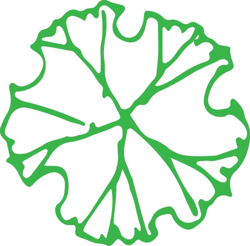 Trees with leaves icon sign design