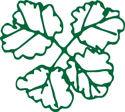 Trees with leaves icon sign design