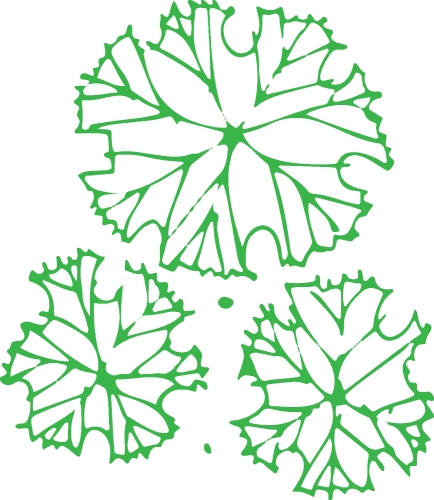 Trees with leaves icon sign design