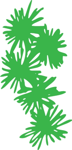 Trees with leaves icon sign design