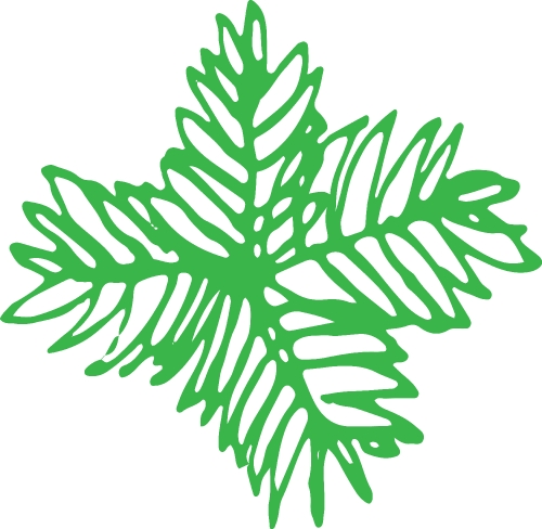 Trees with leaves icon sign design