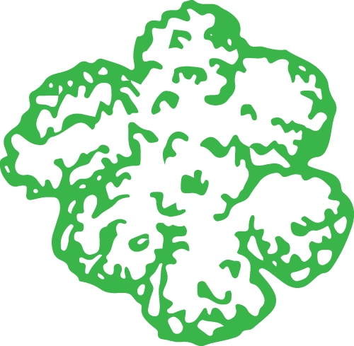 Trees with leaves icon sign design