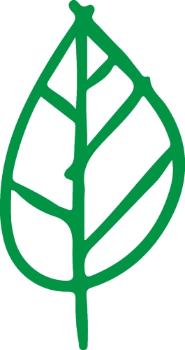 Trees with leaves icon sign design