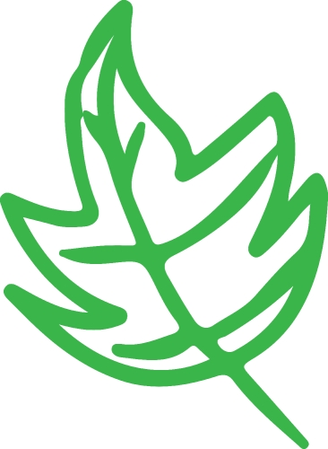 Trees with leaves icon sign design