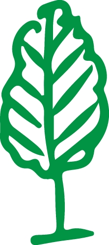 Trees with leaves icon sign design