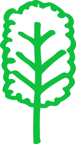 Trees with leaves icon sign design