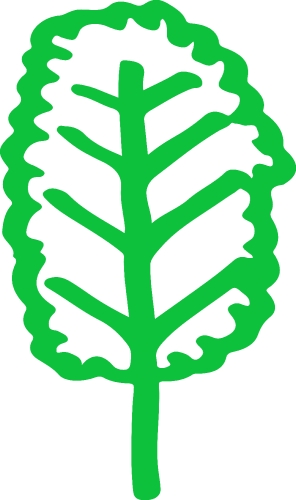 Trees with leaves icon sign design