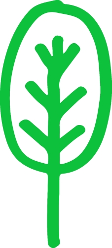 Trees with leaves icon sign design