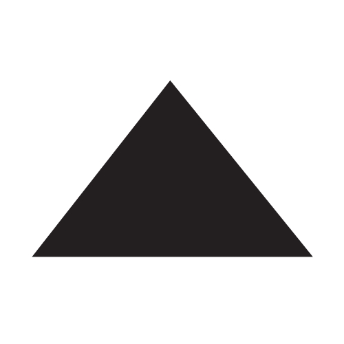 Triangle Icon