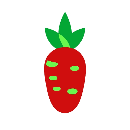 Vegetable icon